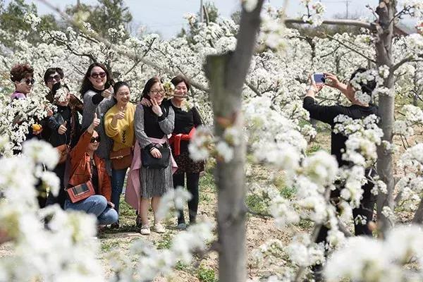 界首高铁站最新动态，启程探索自然美景的旅程