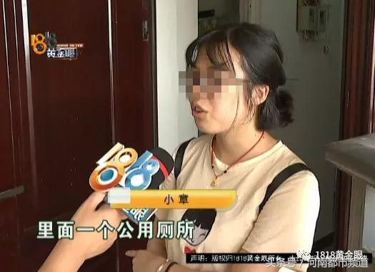 胜稼红星嘉园最新动态揭秘，自然美景中的心灵探索之旅