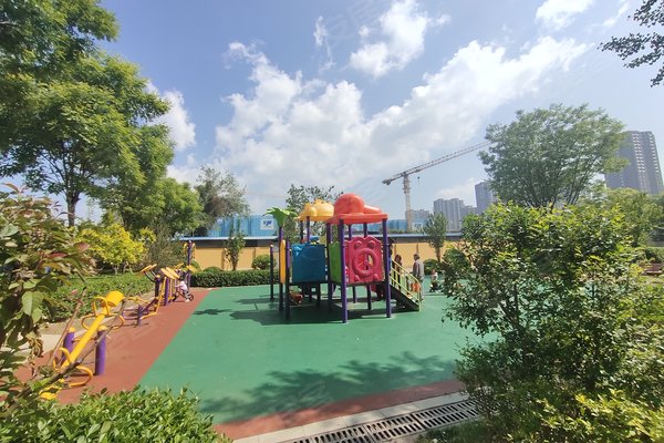 太原公园美地最新动态，温馨日常趣事揭秘