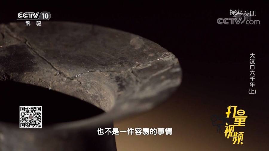 蛋壳最新，小巷深处的独特风味，必探特色小店
