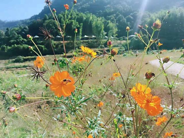 寻找内心的平和，一场与自然美景的亲密旅行冲撞最新体验