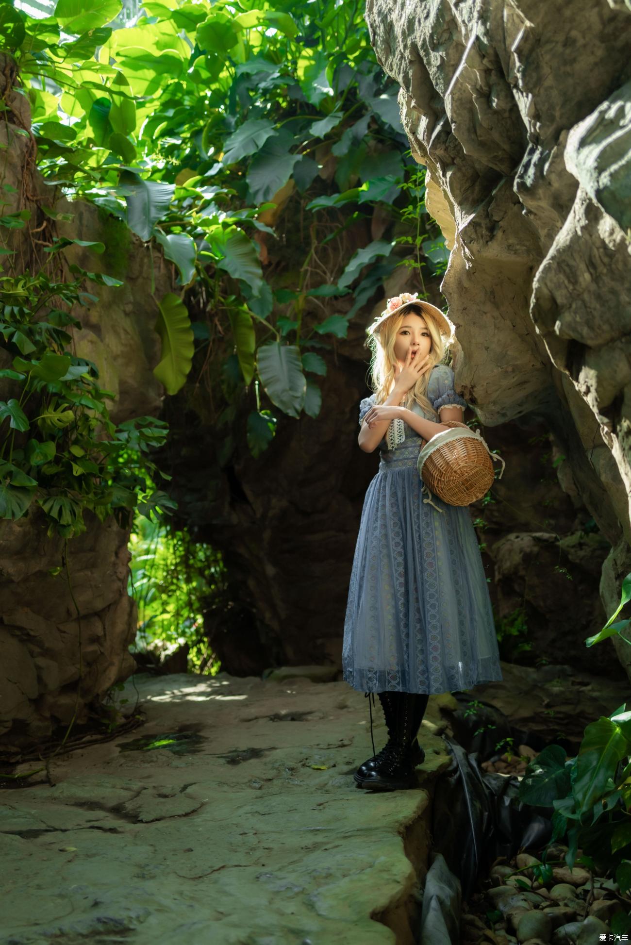 最新爱丽丝,自然美景鼓舞之旅