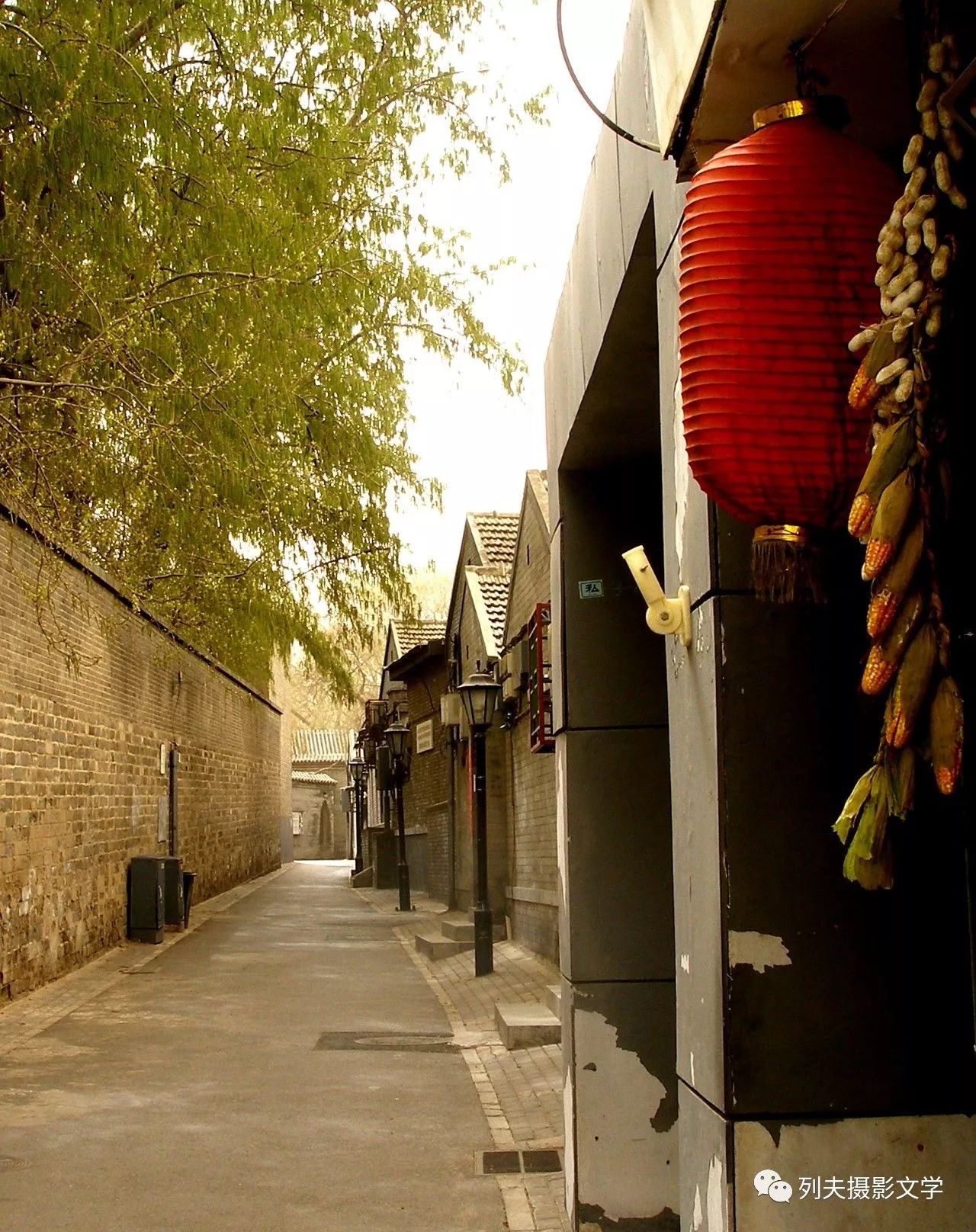 新年最新独特风味,小巷深处的诱人风情