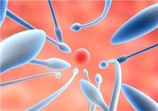 最新精子窝地址探讨与观点阐述
