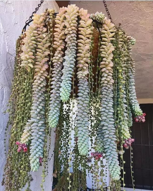 JF厂最新,自然美景之旅,探寻内心平和与宁静的治愈之旅