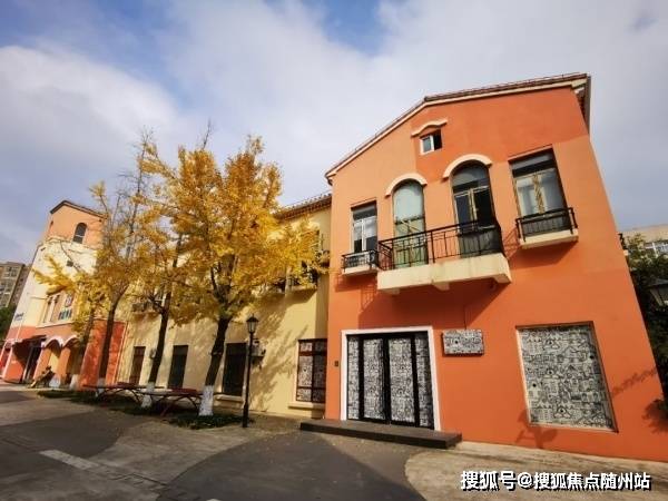 美国最新骚乱现象，深层原因分析与观点解读