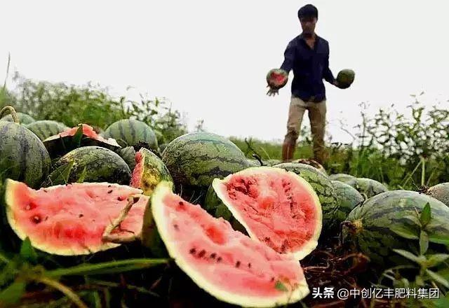 餐饮全案设计 第47页