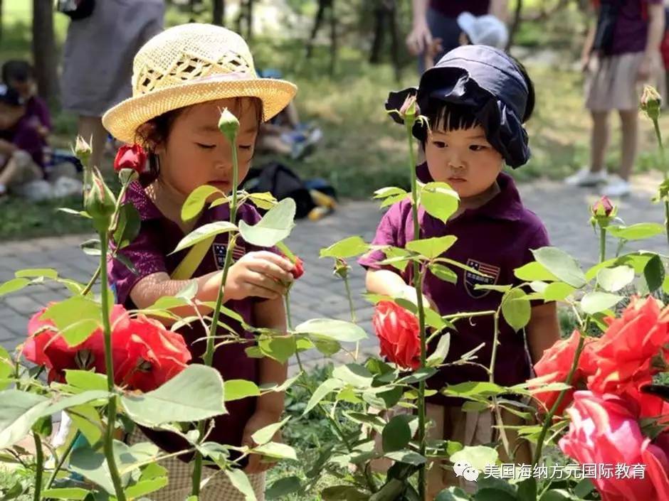 幼儿最新花，与自然美景的亲密旅行之旅