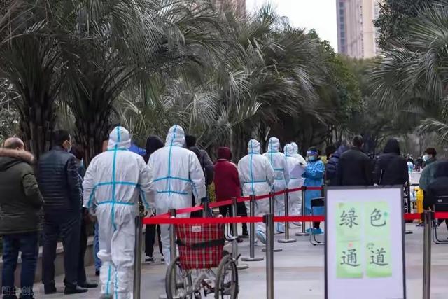 版纳最新疫情动态，变化中的学习展现自信与成就的力量
