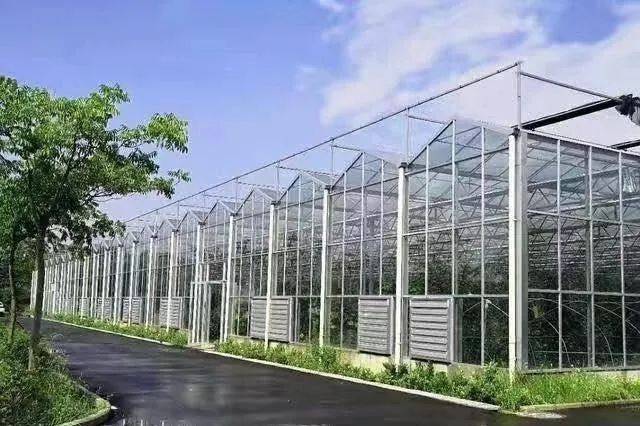 农业革新热议，最新大棚被技术探讨