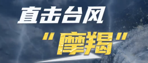 台风最新直播间，实时更新，风雨无阻的直播关注焦点
