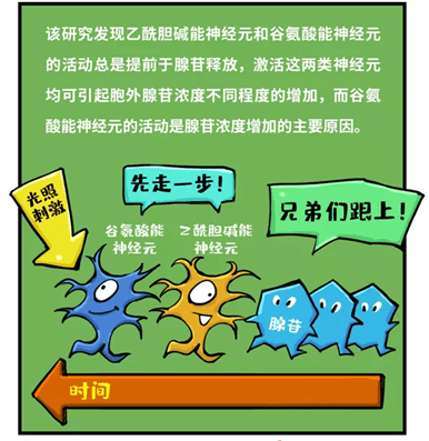 北京疫情最新全国态势，全面审视与观点阐述