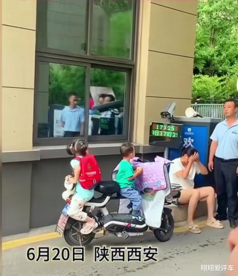 新闻最新版，温馨日常小趣事回顾