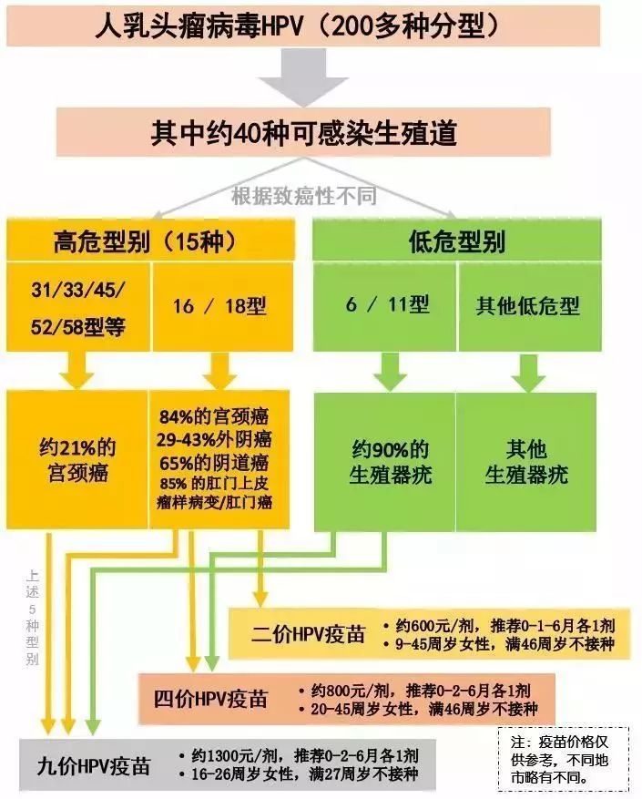 国产最新HPV疫苗，护航女性健康的新里程碑