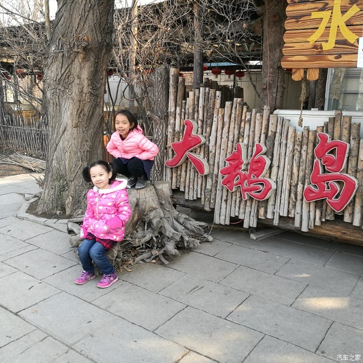玩转大鹅岛，最新攻略与探索指南