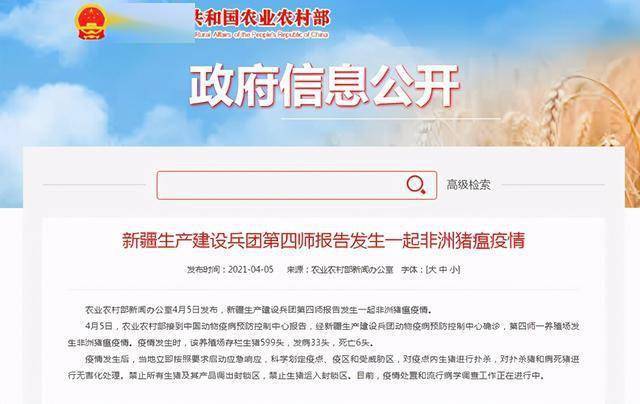 新疆最新疫情报告更新,最新动态与数据概述