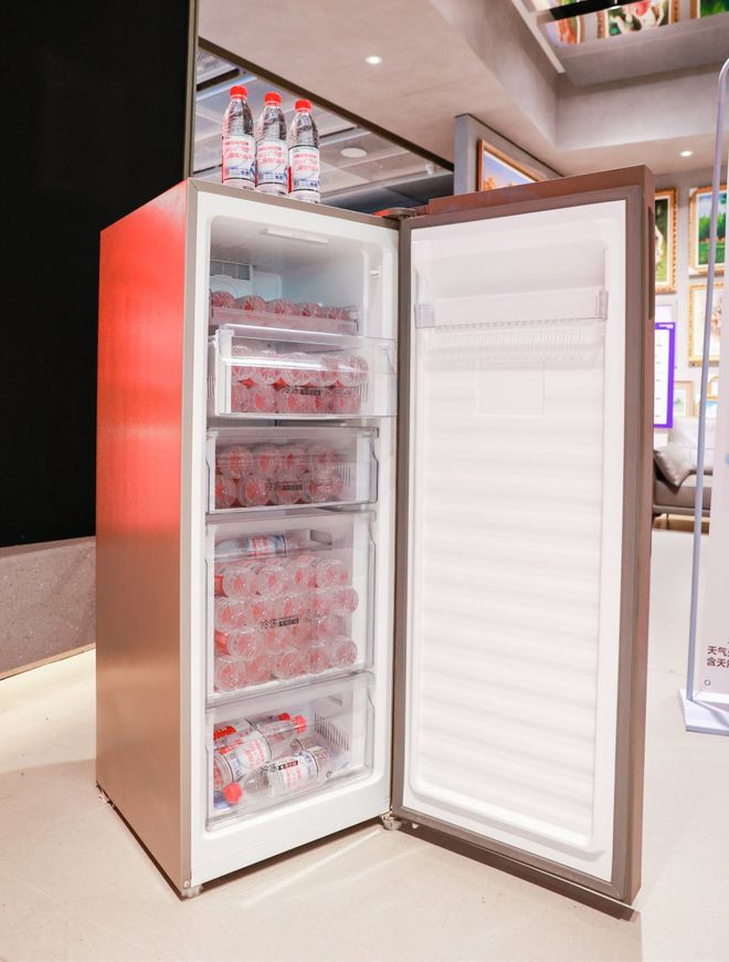 冰柜最新款,科技与生活的融合,未来冷藏新体验