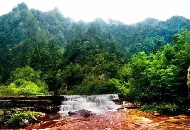 习水最新新闻，拥抱自然，重拾内心宁静之旅探索