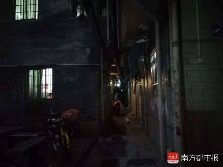 小巷深处的隐藏瑰宝，最新文综事件揭秘