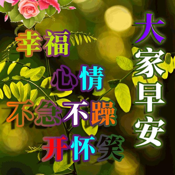 最新钞票歌，流行旋律下的金钱话题