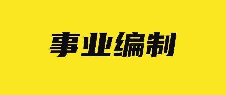 最新泰州招聘，科技驱动未来，指尖上的就业机会