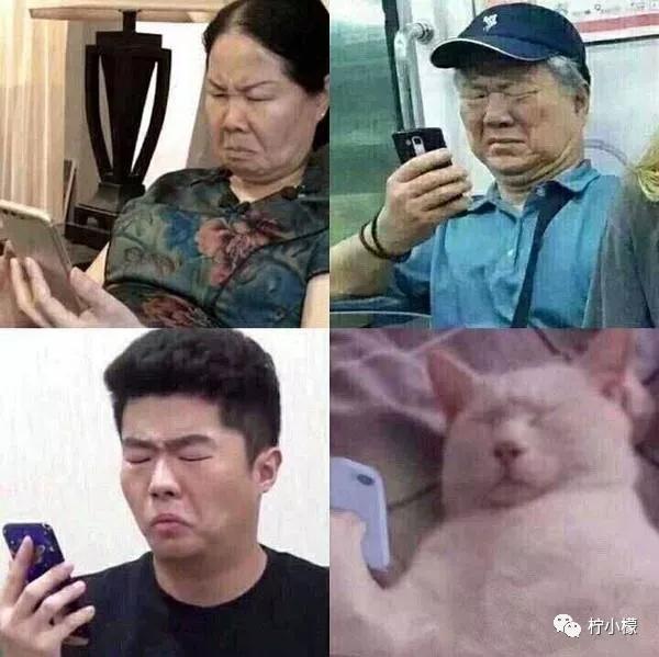 小鸡庄园答案最新揭秘，自然美景探索之旅开启