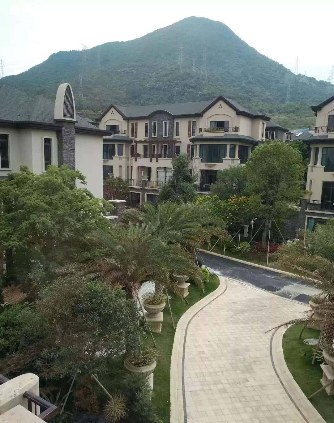 限行政策最新详解，限行步骤指南与最新动态更新通知