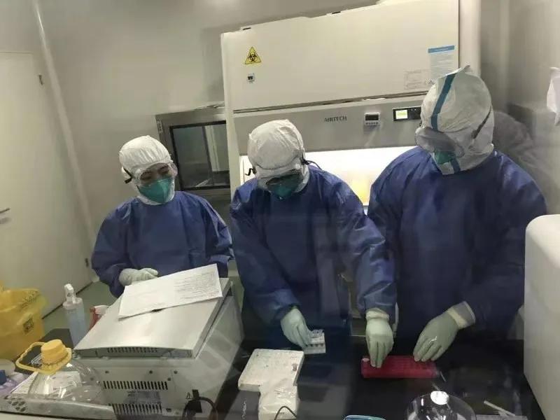 襄阳新冠最新动态，科技助力健康守护，重塑生活体验