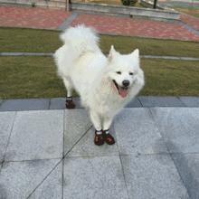 二当家最新指南，任务完成与技能学习详细步骤攻略