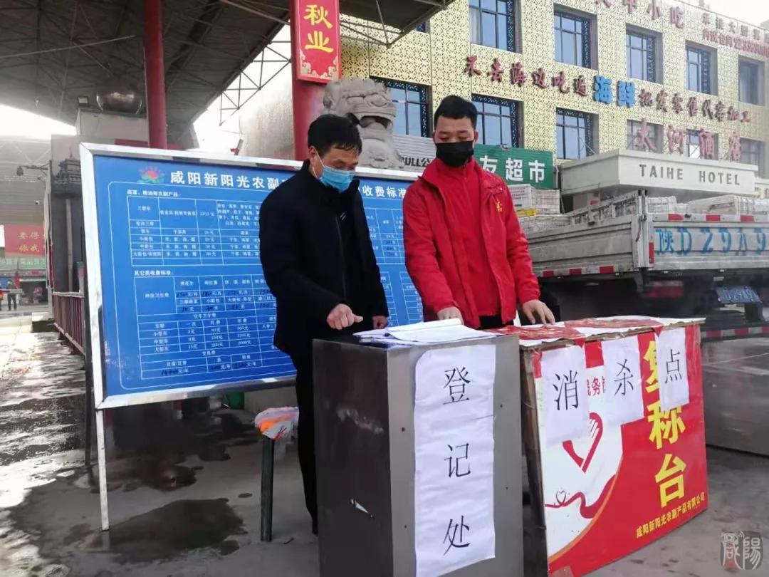 最新蔬菜产品批发深度探讨，多维度解析与洞察