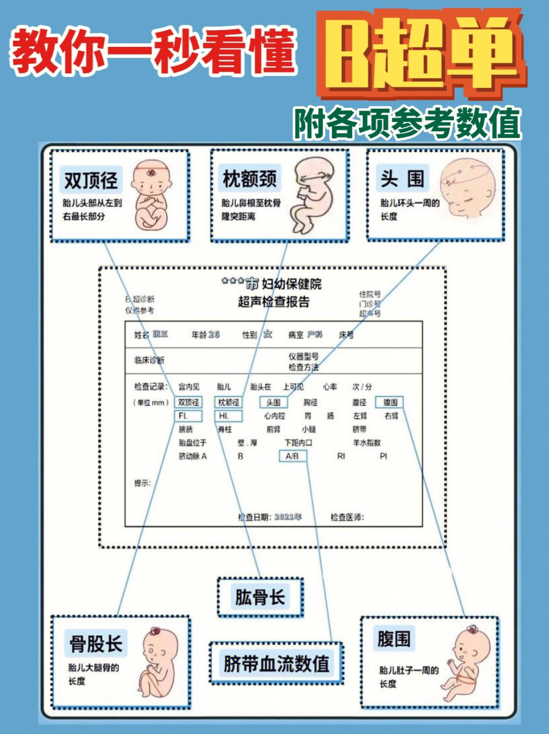 最新彩超单解读及应用指南