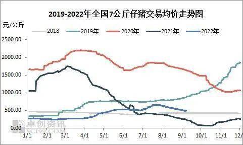 最新猪价通知，市场走势分析与预测