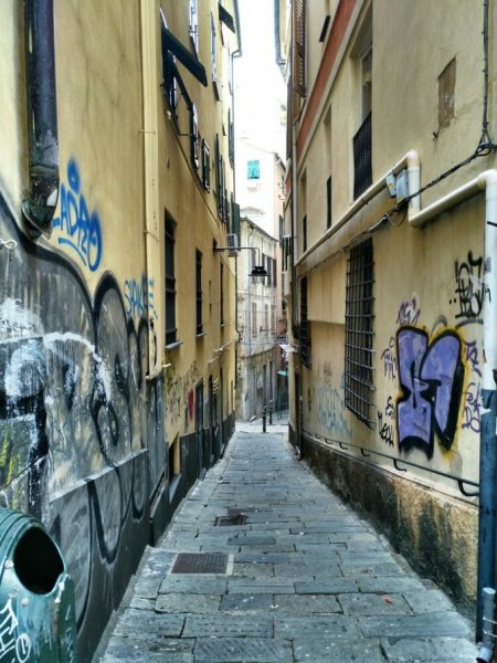 东阳光最新状况揭秘,小巷中的隐藏瑰宝