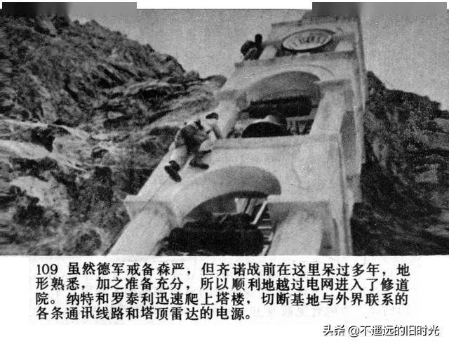 唐河最新网逃事件深度解读