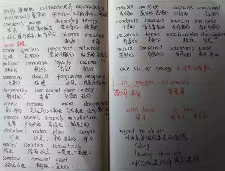 最新楚才作文步骤指南与佳作赏析
