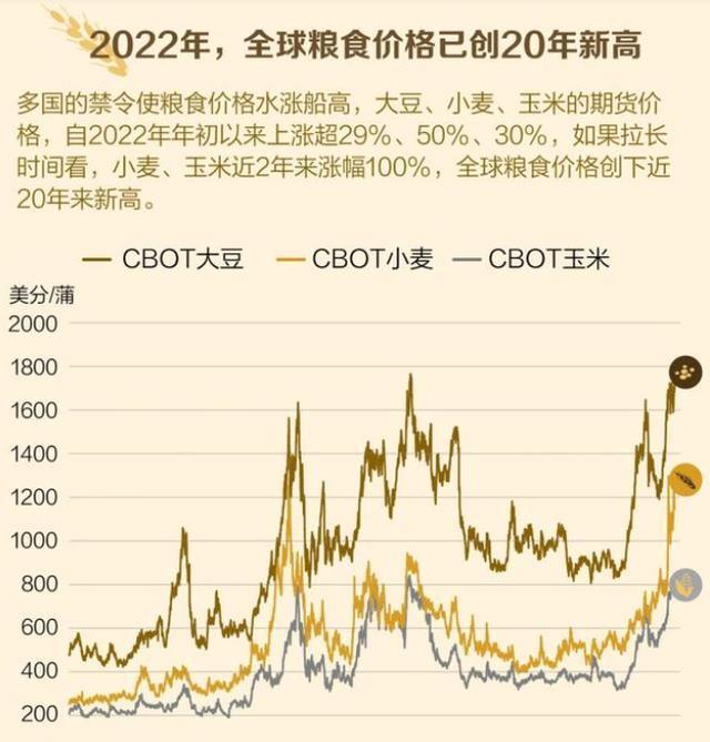 粮食价格最新动态与自然美景的旅行探索