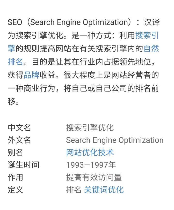 探索搜索引擎优化新领域的最新域名或名称