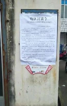 非洲最新疫情概述与动态分析