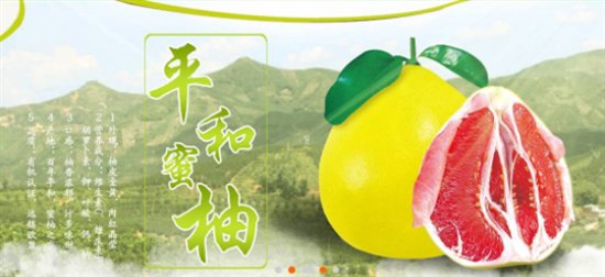 温馨蜜柚的日常故事，蜜柚时光最新版回顾