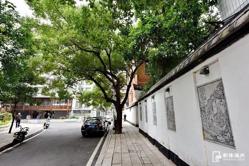 香港最新唱片,小巷深处的音乐宝藏探索