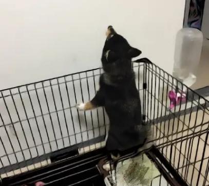 探索前沿生活方式的最新姿势解锁