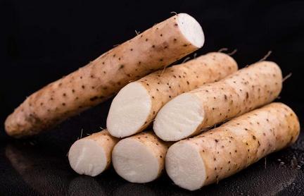 冠肺最新报告,自然美景探索之旅的心灵宁静启示