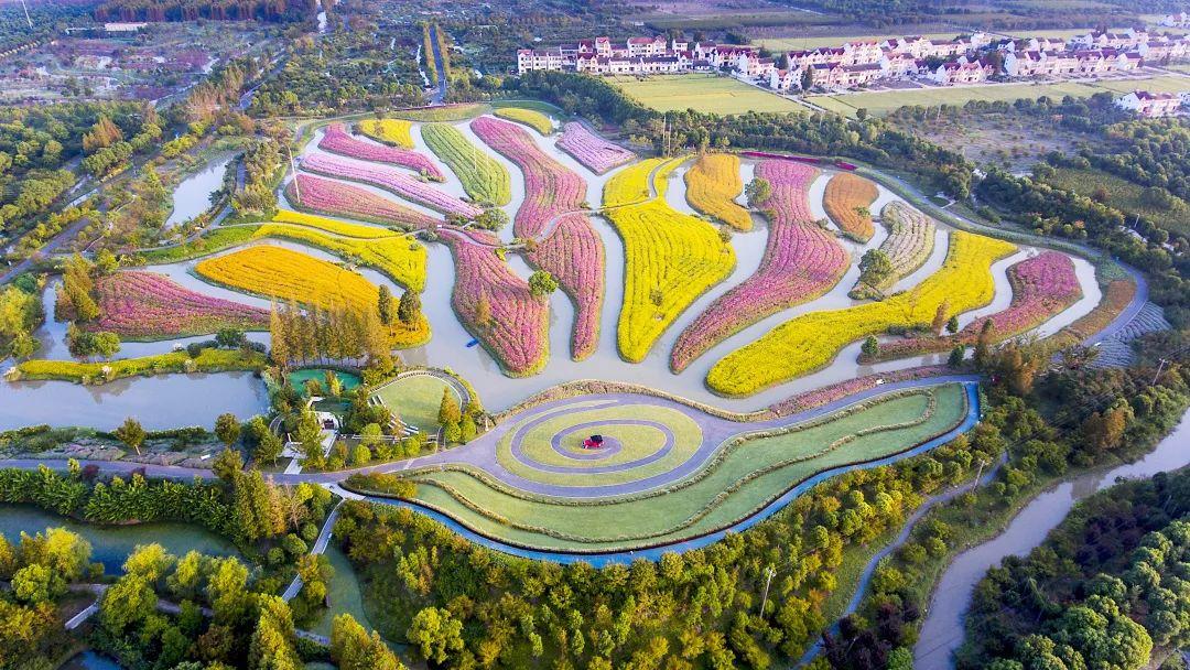 昆明最新鸡价与科技重塑智能养鸡新时代潮流