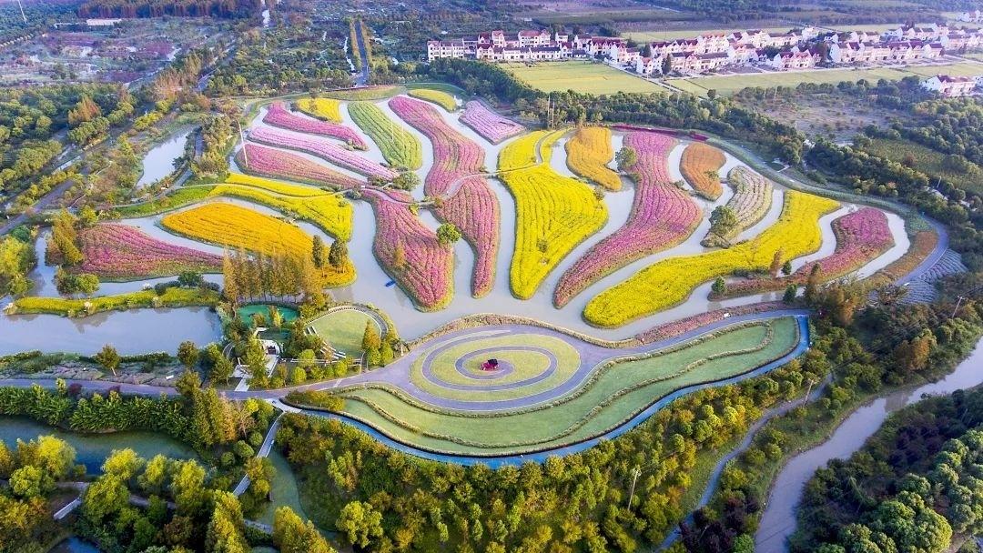 昆明最新鸡价与科技重塑智能养鸡新时代潮流